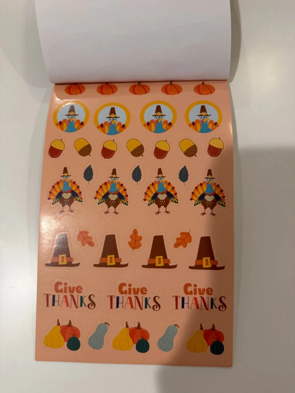 Large bundle Fall Thanksgiving Stickers & sensory manipulatives
